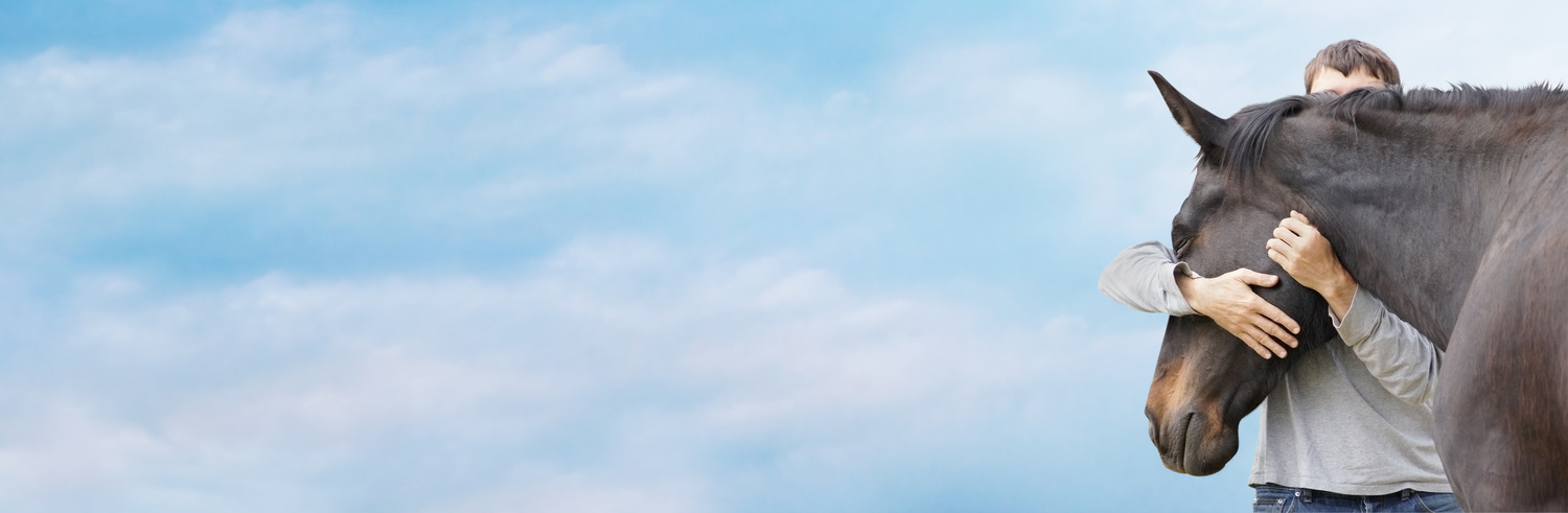 adobestock_63920573.jpeg