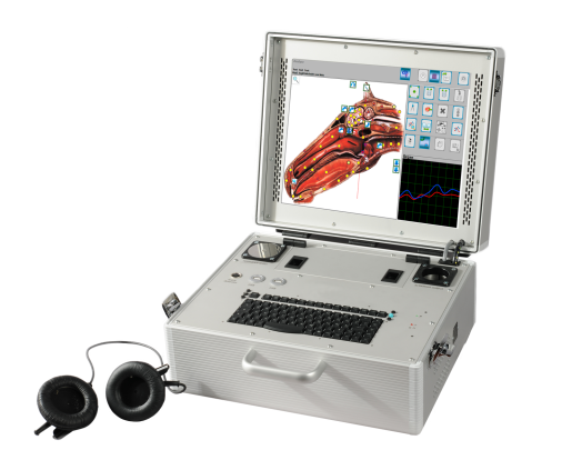 mv-horse_koffer_trans-2mit-resonanzkammer.png